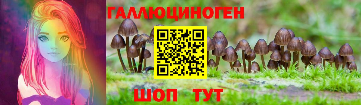 Сосновый Бор  Псилоцибиновые грибы GOLDEN TEACHER  Вход с VPN 