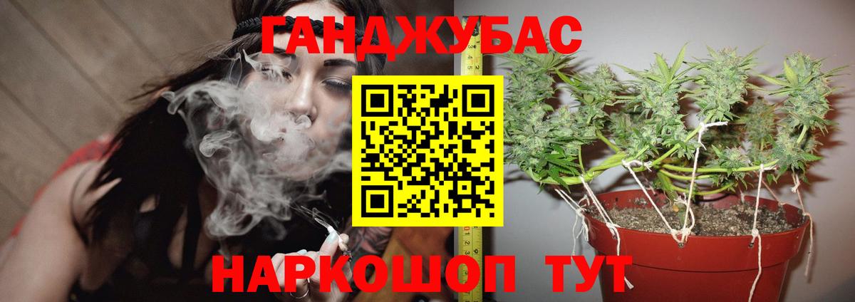 Бошки Шишки MAZAR Сосновый Бор